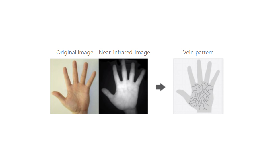 palm vein technology